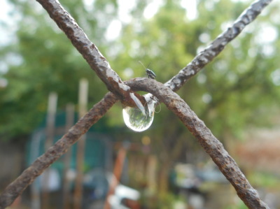 Něco s tykadlama se mě připletlo do záběru.