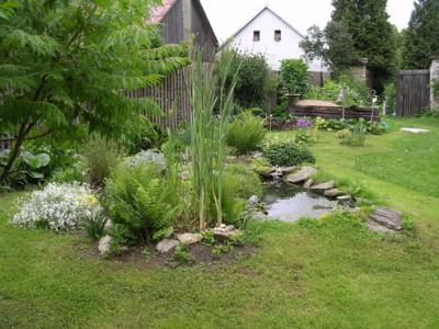 až se vše zazelená