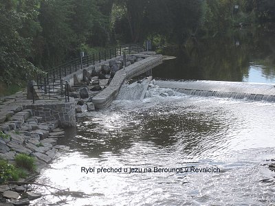 Rybí přechod vedle jezu na Berounce v Řevnicích