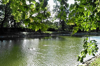 Dlouhý rybník v Podzámecké zahradě v Kroměříži