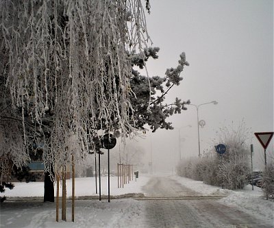 Zima v naši ulici...   *