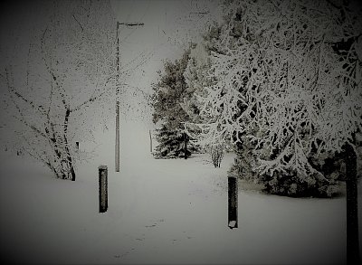 Byla cesta, byla ušlapaná...*