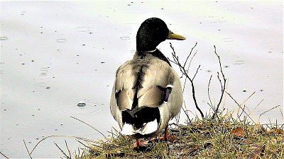 Už aby bylo jaro...