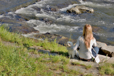 Dva nebo dvě v bílém