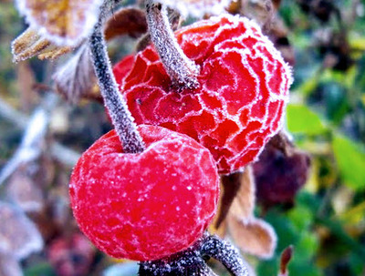 Dvě třešinky na dortu