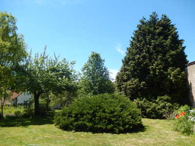 Pohled od odpolední kávy