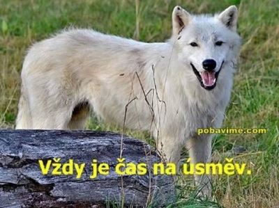 Vždy je čas na úsměv