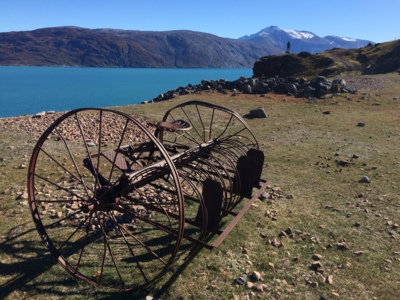 Ach, synku, synku....