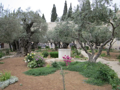 Getsemanská zahrada