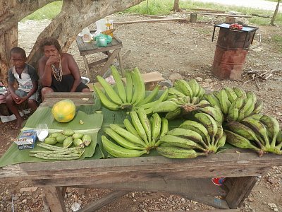 Guadalcanal - stánek s banány.JPG
