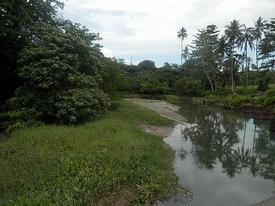 Guadalcanal - tropická řeka.JPG