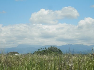 Guadalcanal - vniitrozemí na západě.JPG