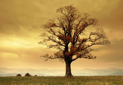 Napůl oblečená,napůl nahá