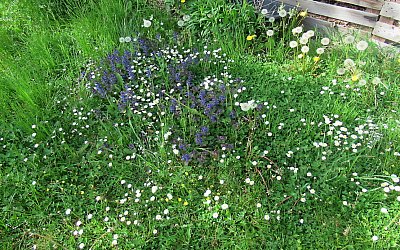 Kveteme kde chceme *