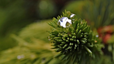 Já už se neudržím!