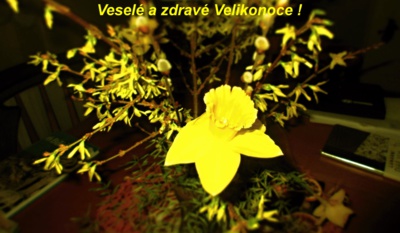 Přání