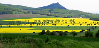 A zase ta žlutá ...