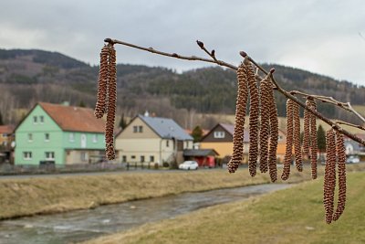 Jaro ťuká na dveře