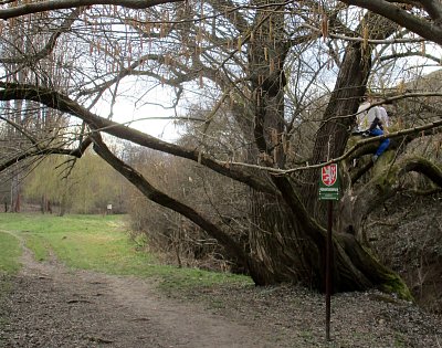 Láska v přírodní rezervaci