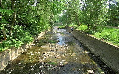 Krásně zeleno, ale sucho *