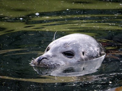 Nejlépe je ve vodě