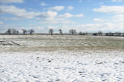 Lehce zaněžená krajina ...