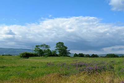 Odpolední procházka *
