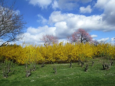 Nad Masarykovou vyhlídkou*