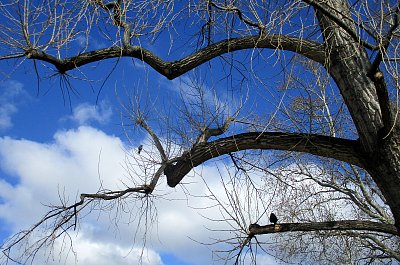 V nejvyšším patře volno