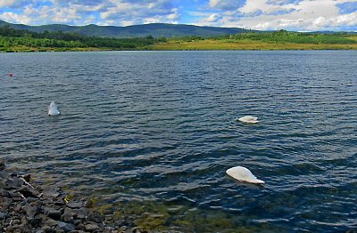 Pardon, jsme na lovu*