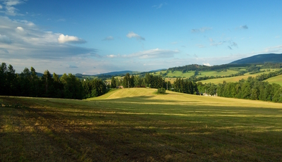 Letní krajina.