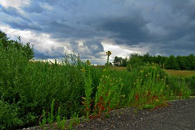 Mezi nebem a zemí *