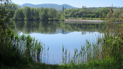 Není u nás krásně ?