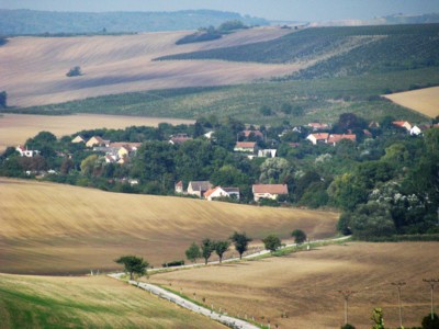 Vinice a pole - vinařská cesta Valtice
