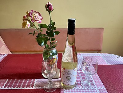 Otevřít 11.11. v 11 hodin