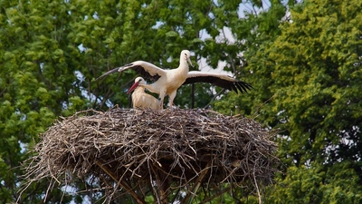 Tak co mámo, jak mi to jde?
