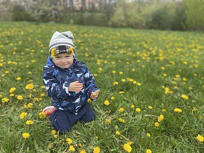 Takové sluníčko v pampeliškách