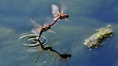 Pojď jinam, tady na nás koukaj!