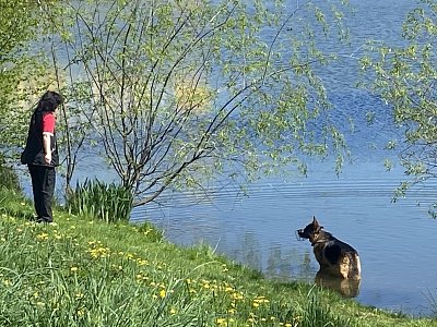 Obyčejný páteční den*