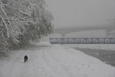 Dokument:  Jesenicko, 28.4.2017 v 6,53 h.