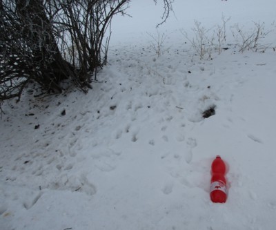 Co tady dělám ????