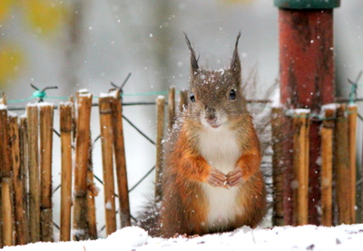 Mrznou mi tlapičky...
