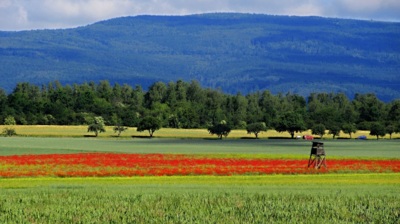 Pod Krušnými horami