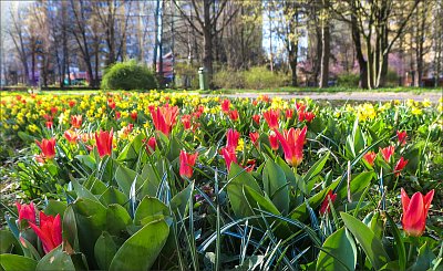 Byl jarní den a celý svět se smál ... předevčírem*