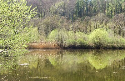 Zastavení u rybníka
