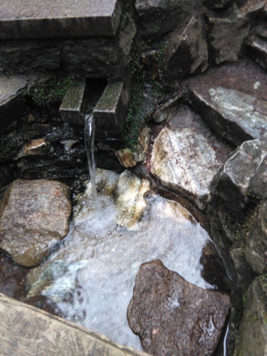 Studánka se probudila.