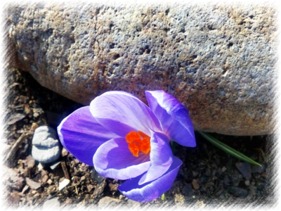 Je jaro, chci ven...