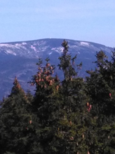 Černá hora z rozhledny Žalý