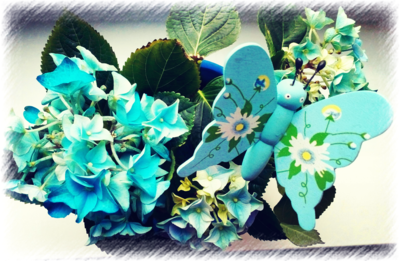 Modré z nebe aneb dotek motýla...