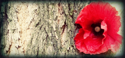 Červenám se, ale je tu výhled...